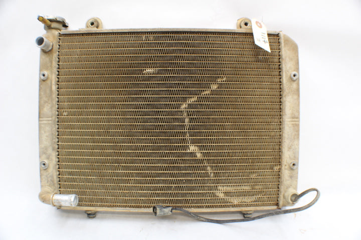Radiator Assembly 1240459 111771