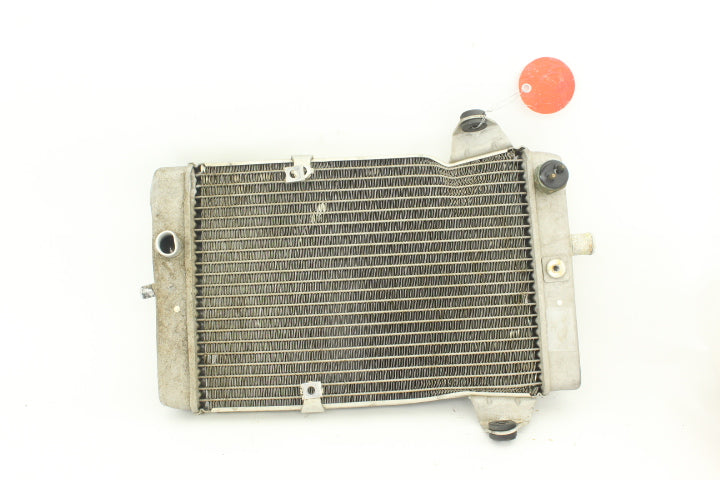 Radiator Assy 39060-0006 116002