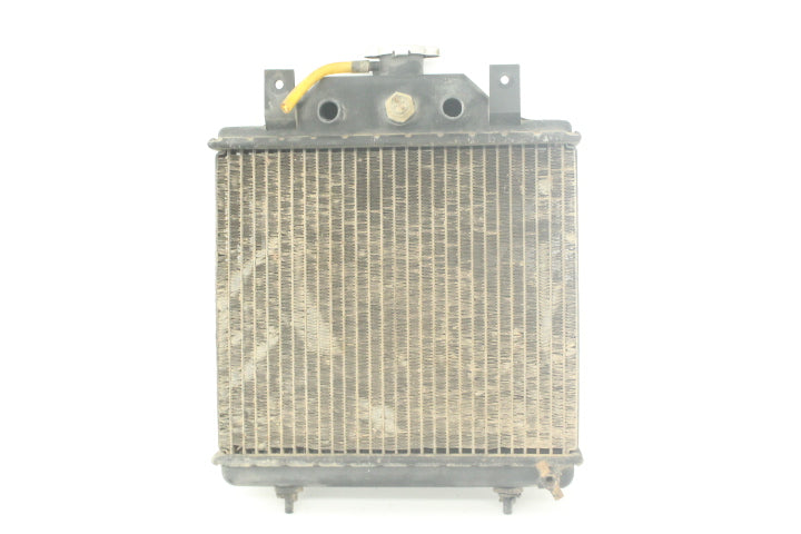 Radiator Assembly 1240015 116655