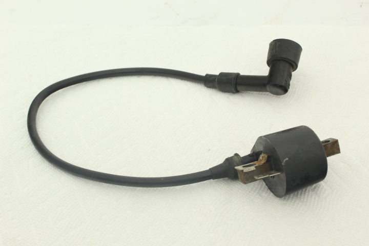 Ignition Coil 3084979 116951