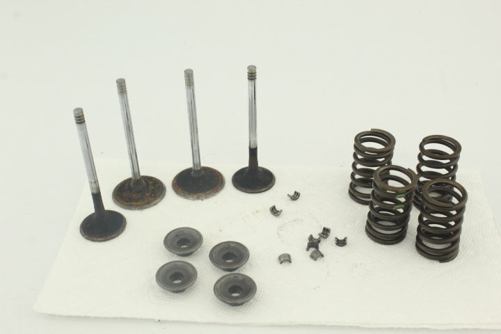 Exhaust Intake Valves 420254027 117050