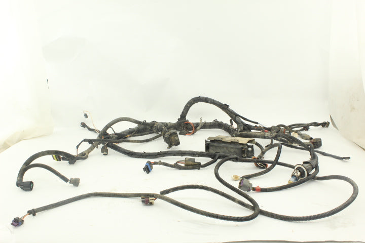 Wiring harness 2412801 1179116