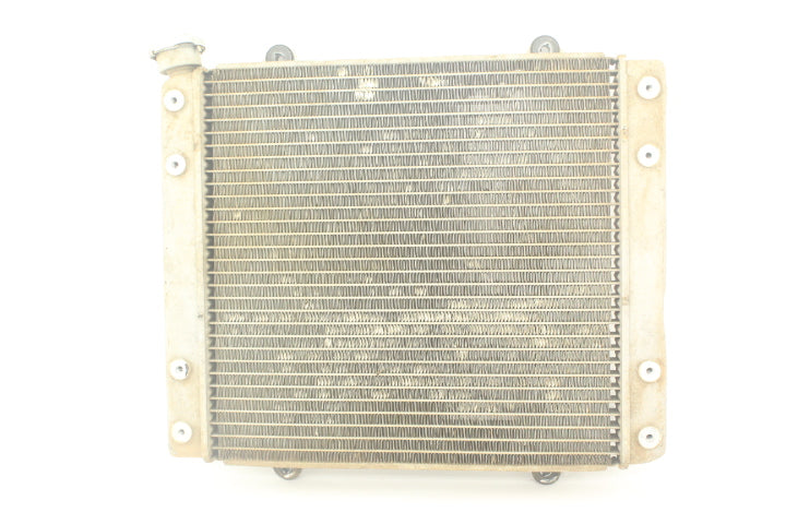 Radiator Assy 39061-0127 119134