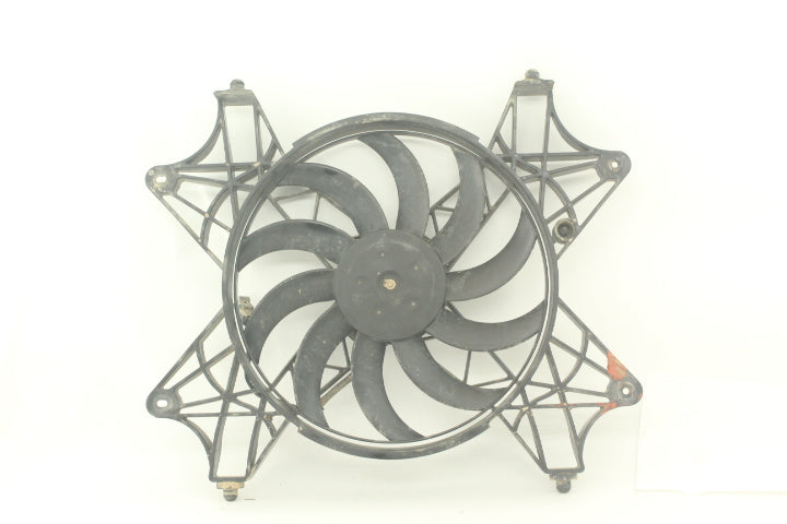 Radiator Fan Assy 2412447 120019