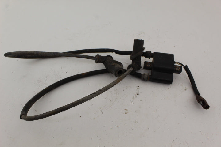 Ignition Coil Assy 4010898 1210140