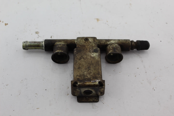 Fuel Rail Assembly 2520459 121484