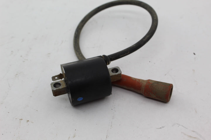 Ignition Coil Assy 3087036 121874