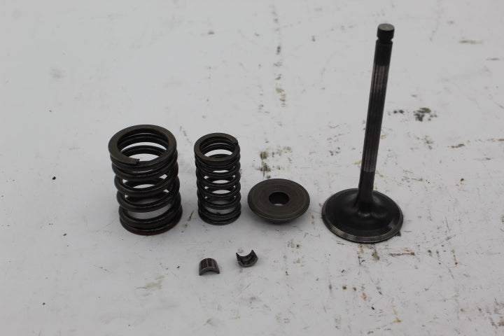 Intake Valve & Springs 5GH-12111-00-00 122251