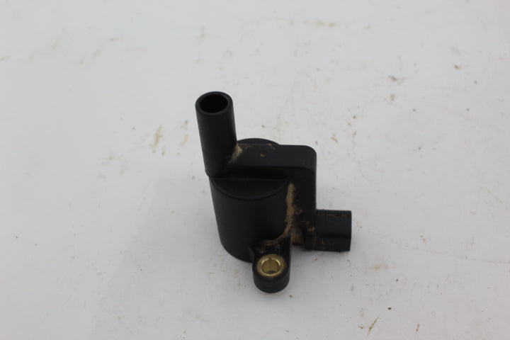 Ignition Coil 4015072 122341