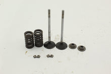 Load image into Gallery viewer, Exhaust Intake Valves 5137265 122508
