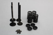 Load image into Gallery viewer, Valves/Springs Assembly 3085412 109935
