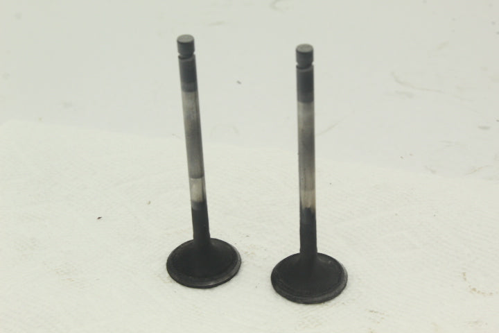 Intake Valves 28P-12111-00-00 117588