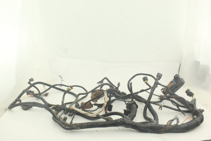 Main Wiring Harness 2412594 118299